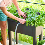 Jardinage