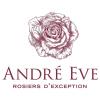 Les roses Andre Eve