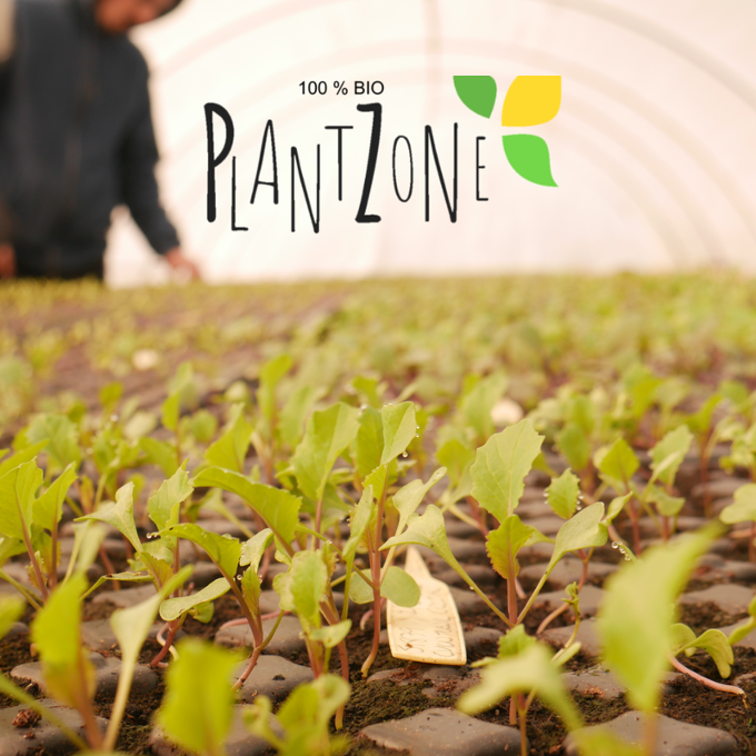 Plantzone