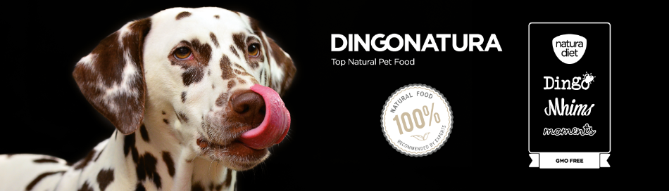 Dingonatura