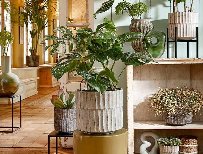 The Green Home Company