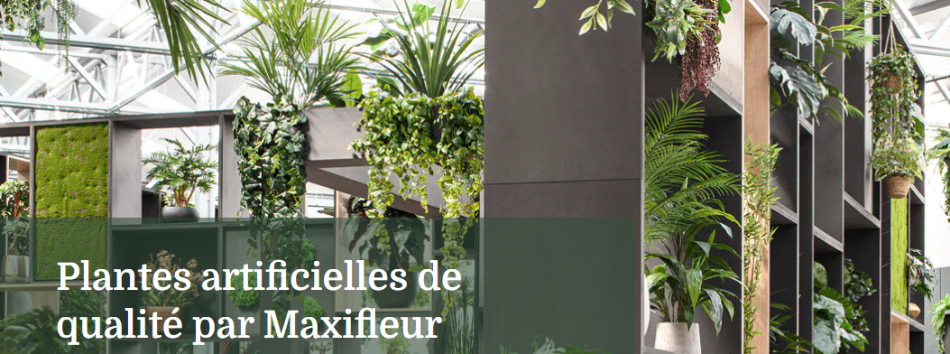 Maxifleur
