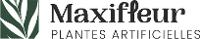 Maxifleur
