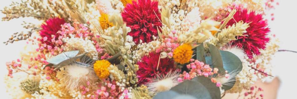 Réconciliation Végétale