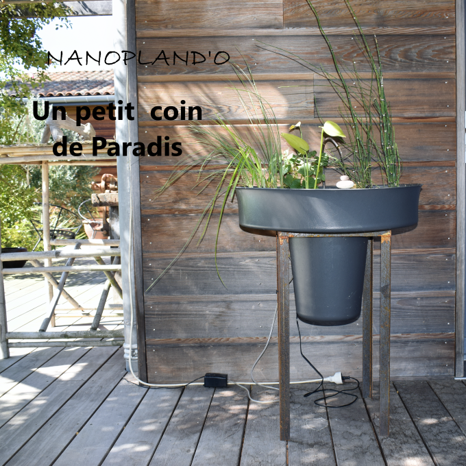 Nanopland'O