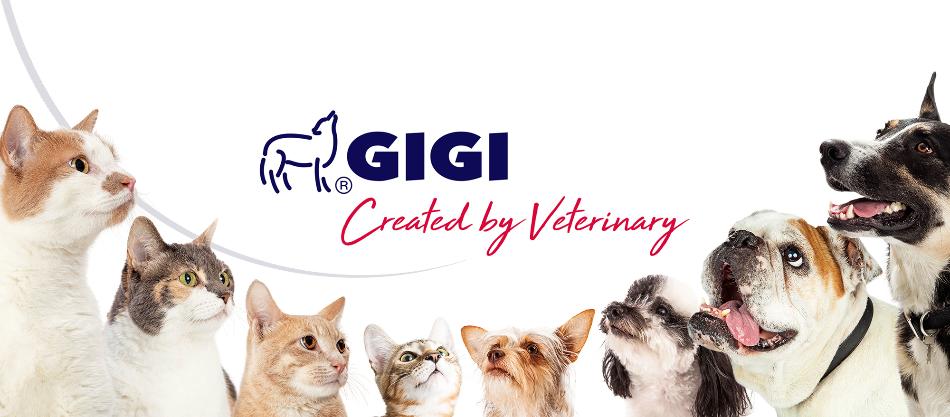 Farma PET GIGI GmbH