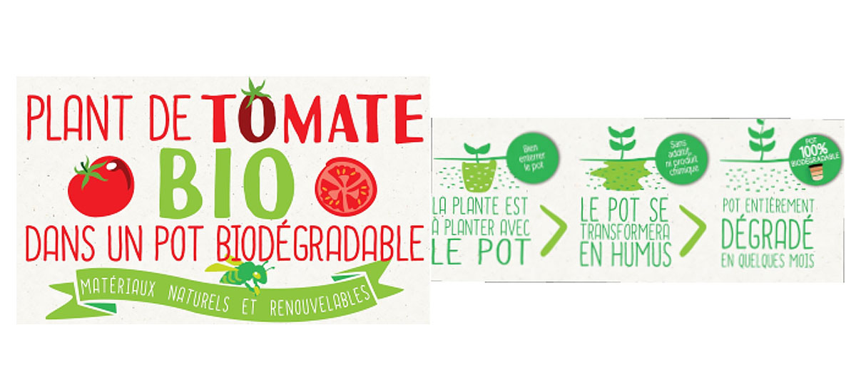 les pots biodégradables pour ses plants de tomate bio
