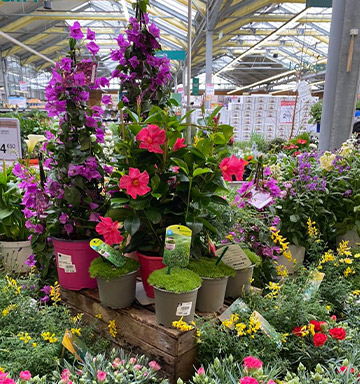 Décarboner notre offre produit