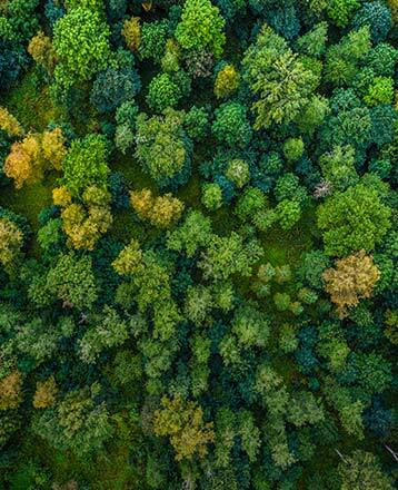 Truffaut s'engage pour le climat